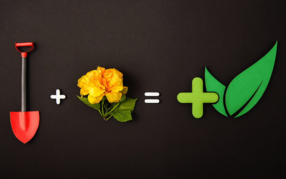 Quiénes Somos Mas Verde Landscape